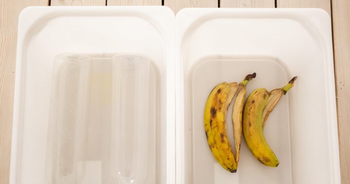 Economic Impact of Pandemics: A Millennial’s Perspective on Global Changes
